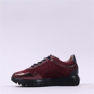 Wonders Odisei Two Tone Bungee Trainer - Burgundy